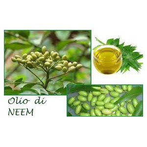 Olio Essenziale di Neem 10 ml